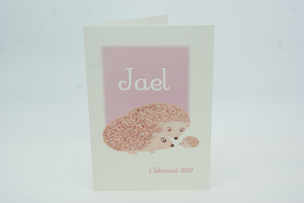 geboortekaartje jael lichtroze